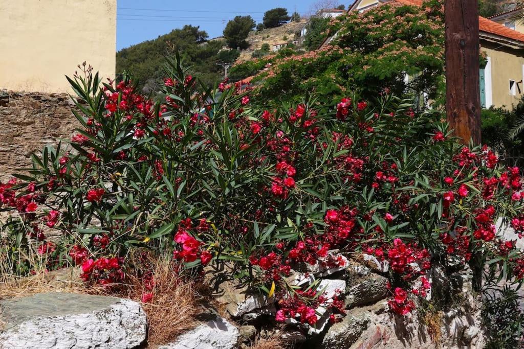 Titinas' Βίλα Πλωμάρι Εξωτερικό φωτογραφία